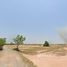  Land for sale in Nakhon Ratchasima, Kut Phiman, Dan Khun Thot, Nakhon Ratchasima