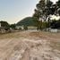  Land for sale in Nakhon Ratchasima, Mu Si, Pak Chong, Nakhon Ratchasima