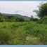  Land for sale in Thailand, Mae O, Phan, Chiang Rai, Thailand