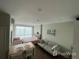 스튜디오입니다 Condotel Buri 1에서 판매하는 콘도, 칼롱, 푸켓 타운, 푸켓