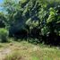  Land for sale in Mexico, Compostela, Nayarit, Mexico