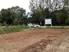  Grundstück zu verkaufen in Pak Chong, Nakhon Ratchasima, Nong Sarai, Pak Chong, Nakhon Ratchasima