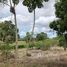  Land for sale in Carrillo, Guanacaste, Carrillo