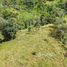  Terreno (Parcela) en venta en Perez Zeledon Airport, Pérez Zeledón, Pérez Zeledón