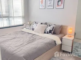 คอนโด 1 ห้องนอน ให้เช่า ในโครงการ นิว โนเบิล ศรีนครินทร์ – ลาซาล, สำโรงเหนือ, เมืองสมุทรปราการ