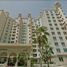 2 Bedroom Apartment for sale at Al Haseer, Shoreline Apartments, Palm Jumeirah