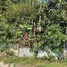  Grundstück zu verkaufen im Alajuela, San Ramon, Alajuela