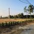  Land for sale in Chiang Mai, Buak Khang, San Kamphaeng, Chiang Mai