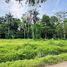  Land for sale in Talamanca, Limon, Talamanca, Limon