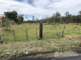  Land for sale in Siquirres, Limon, Siquirres