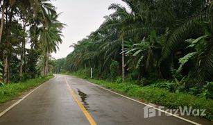 N/A Land for sale in Lam Phi, Phangnga 
