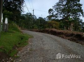 Limon Land for Sale in Siquirres with Approximately 7 Hectares N/A 土地 售 