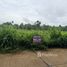  Земельный участок for sale in Chak Phong, Районг, Chak Phong