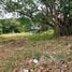  Terreno (Parcela) en venta en Costa Rica, Alajuela, Alajuela, Costa Rica