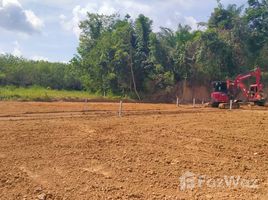 ขายที่ดิน ใน อ่าวนาง, กระบี่, อ่าวนาง