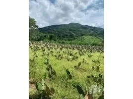  Terreno (Parcela) en venta en México, Puerto Vallarta, Jalisco, México