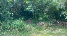 Available Units at Land Plot Tala in Rawai