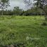  Terrain for sale in Pérou, Utcubamba, Amazonas, Pérou