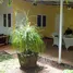 4 Bedroom House for sale in Doi Saket Chiang Mai, Mae Pong, Doi Saket, Chiang Mai
