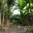  Land for sale in Sam Phran, Nakhon Pathom, Tha Kham, Sam Phran