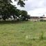 Land for sale in Chiriqui, Limones, Baru, Chiriqui