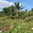  Terrain for sale in Loei, Na Sao, Chiang Khan, Loei