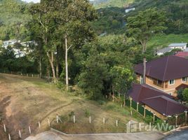 N/A Land for sale in Kathu, Phuket Golf and Mountain View Land for Sale in Kathu