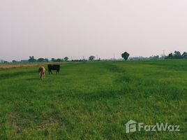  Land for sale in Suphan Buri, Hua Khao, Doem Bang Nang Buat, Suphan Buri