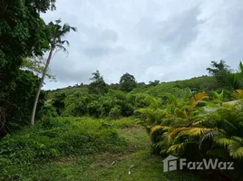 ขายที่ดิน ใน บ่อผุด, สุราษฎร์ธานี, บ่อผุด