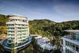 Real Estate Project Veloche Group in Karon, Phuket