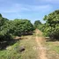  Land for sale in Lamphun, Mueang Chi, Mueang Lamphun, Lamphun