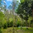  Land for sale at Santi Thani, Maenam, Koh Samui