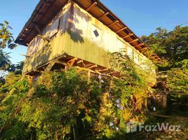  Land for sale in Loreto Orellana, San Vicente De Huaticocha, Loreto, Orellana, Ecuador