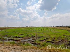 ขายที่ดิน ใน หมอนทอง, ฉะเชิงเทรา, หมอนทอง