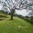  Grundstück zu verkaufen im Alajuela, San Ramon, Alajuela