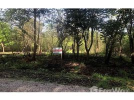  Terrain for sale in Santa Cruz, Guanacaste, Santa Cruz