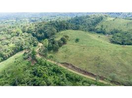  Terrain for sale in Jose Joaquin Salas Perez, San Ramon, San Ramon