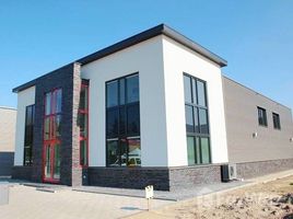 ขายที่ดิน ในโครงการ หมู่บ้านปิ่นทองแลนด์ แฟคทอรี่, ละหาร