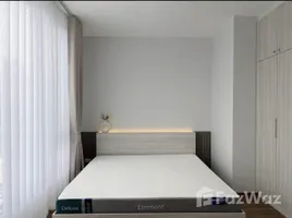 บ้านเดี่ยว 3 ห้องนอน ให้เช่า ในโครงการ พลีโน่ สุขุมวิท-บางนา 2, บางแก้ว, บางพลี