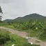  Land for sale in Wang Sai, Nakhon Ratchasima, Wang Sai, Pak Chong, Nakhon Ratchasima