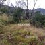  Land for sale in Teresopolis, Rio de Janeiro, Teresopolis, Teresopolis