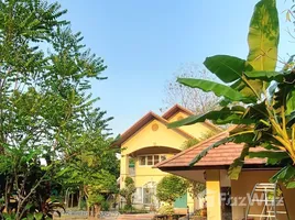 5 Schlafzimmer Haus zu vermieten in Mueang Chiang Mai, Chiang Mai, Chang Phueak, Mueang Chiang Mai