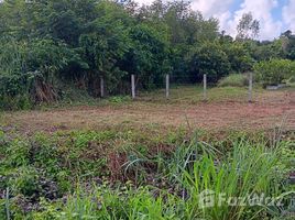  Terreno (Parcela) en venta en Sakon Nakhon, Sawang Daen Din, Sawang Daen Din, Sakon Nakhon