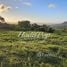  Land for sale at Puerto Plata, San Felipe De Puerto Plata