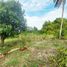  Land for sale in Suphan Buri, Hua Na, Doem Bang Nang Buat, Suphan Buri