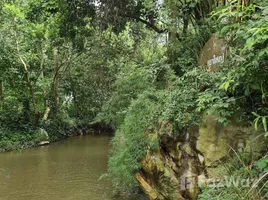 Terrain à vendre à Mu Si, Nakhon Ratchasima, Mu Si, Pak Chong, Nakhon Ratchasima, Thaïlande