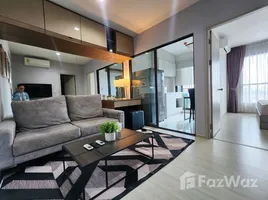 อพาร์ทเม้นท์ 1 ห้องนอน ให้เช่า ในโครงการ ไลฟ์ สุขุมวิท 48, พระโขนง, คลองเตย, กรุงเทพมหานคร, ไทย