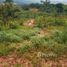  Land for sale in Tefe, Amazonas, Tefe