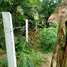  Terreno (Parcela) en venta en Bo Phut, Surat Thani, Bo Phut, Koh Samui, Surat Thani, Tailandia
