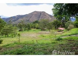  Terrain for sale in Loja, Loja, Vilcabamba Victoria, Loja